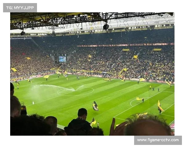 德甲加强与中国球迷互动 提升观赛体验与服务质量